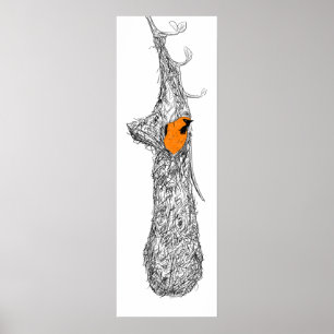 Poster Oriole Nest