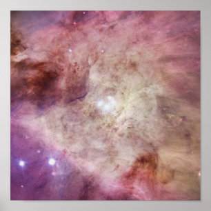 Poster Orion Nebula rosa