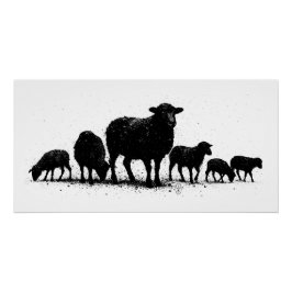 Póster Orkney Sheep — Ink Silhouette Flock