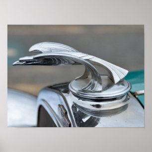 Poster Ornamento da capa do carro vintage