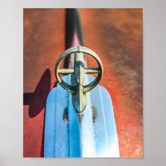 Poster Ornamento de Capim Clássico (Frente)