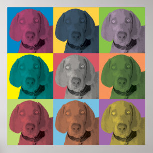 Póster Ornamento do pop art de Weimaraner