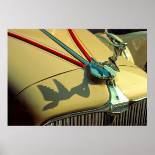 Póster Ornamento do radiador Auburn Speedster