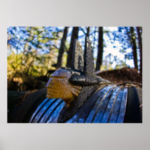 Póster Ornamento indiano da capa de Pontiac