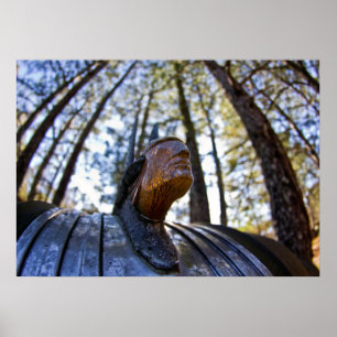 Poster Ornamento indiano da capa de Pontiac