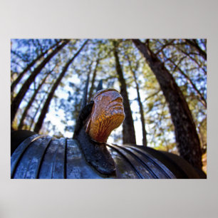 Poster Ornamento indiano da capa de Pontiac (mais