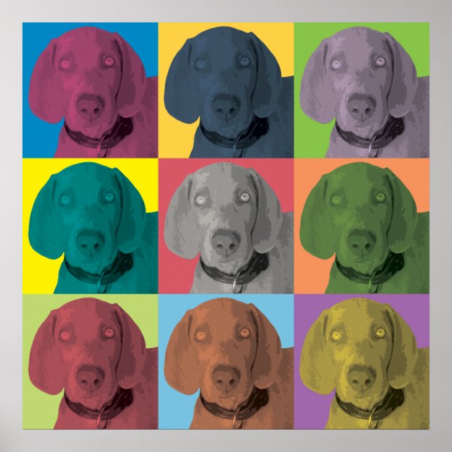 Póster Ornamento Pop de Arte Weimaraner (Frente)