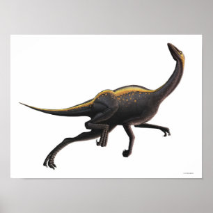 Póster Ornithomimus