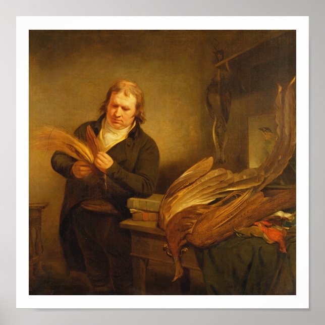 Póster Ornitólogo, provavelmente Sr. Thomson, Animal e (Frente)