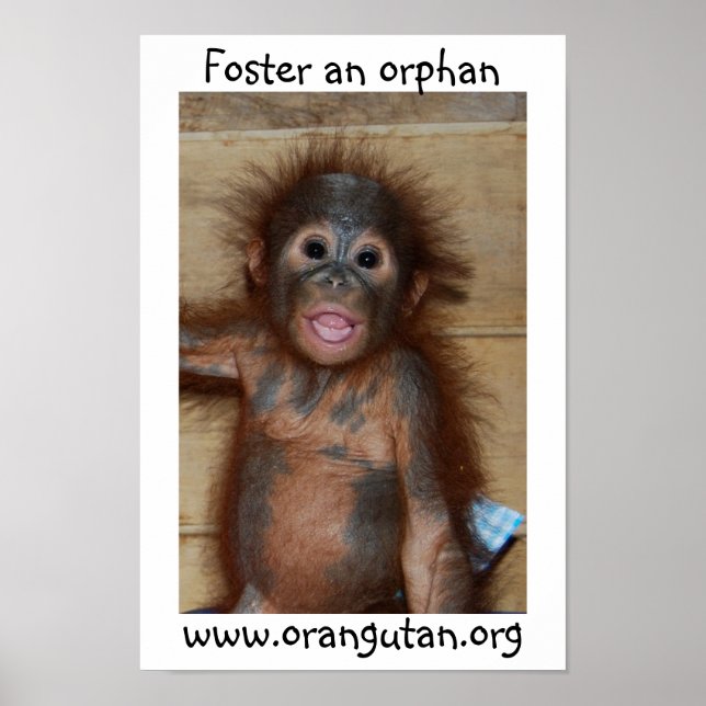 Póster Orphan Baby Orangutan (Frente)