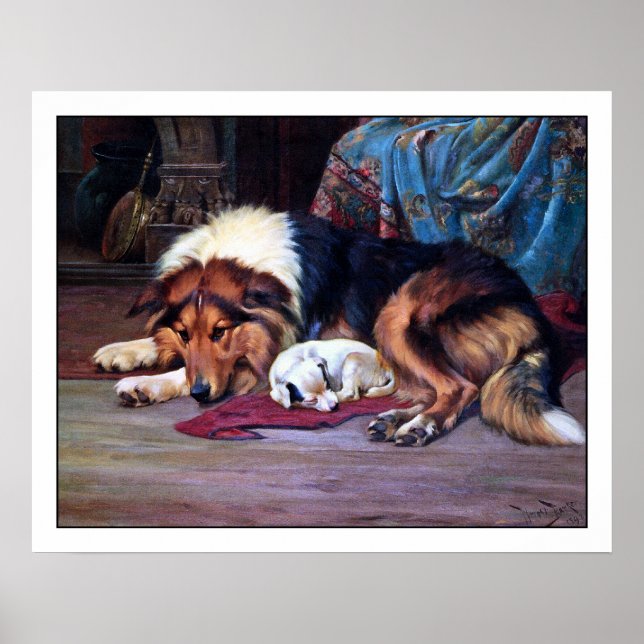 Póster Orphan Puppy e Collie - por Wright Barker (Frente)