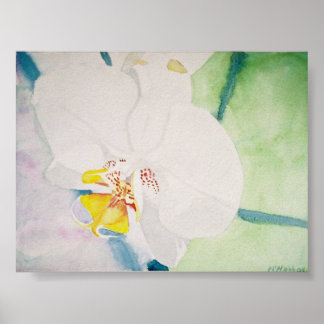 Poster orquídea amarela esmaltada