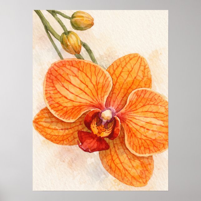 Poster Orquídea Botânica Mariposa de Flor Única (Frente)