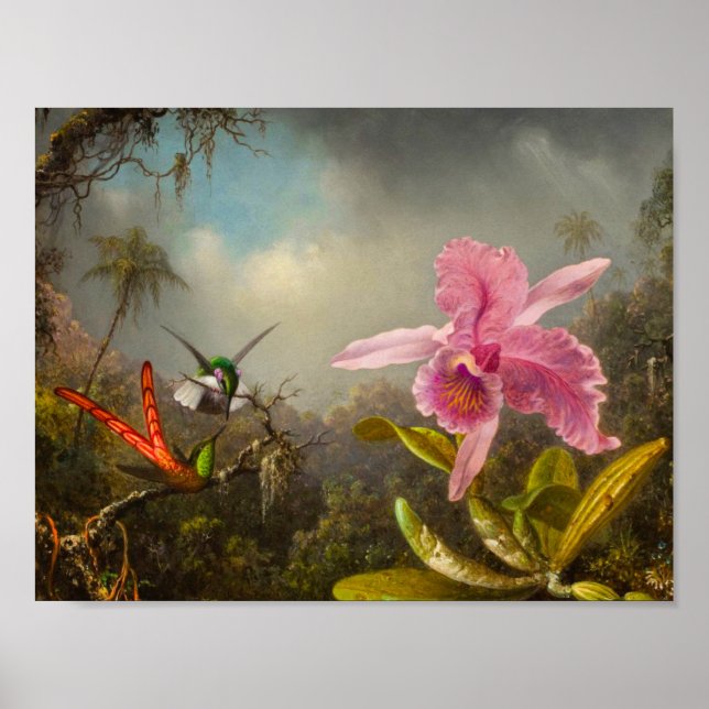 Poster Orquídea com dois beija-flores (Frente)