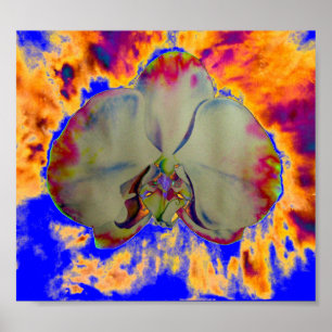 Póster Orquídea de incêndio, pintura floral abstrato tr