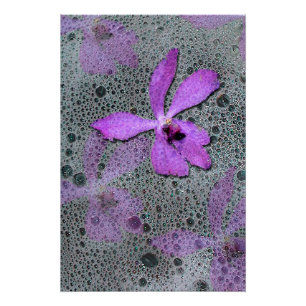 Póster Orquídea do mar
