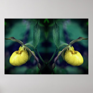 Poster Orquídea Flor Amarela Sapatinho de Senhora Arte da