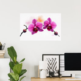 Poster Orquídea Flor de Aurora