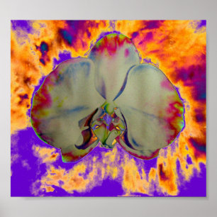 Póster Orquídea-Fogo, pintura floral abstrato tropical