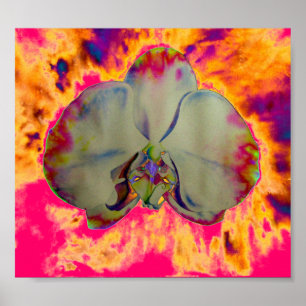 Poster Orquídea-Fogo, pintura floral abstrato tropical