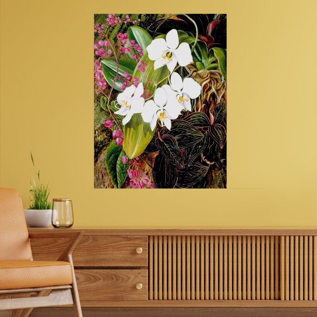 Poster Orquídea malaia e um escalador americano (Sala de Estar 2)