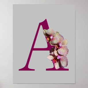 Poster Orquídea Monograma Inicial Elegante A