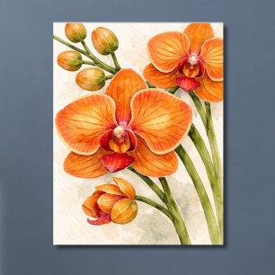 Poster Orquídea Phalaenopsis Laranja Aquarela Botânica