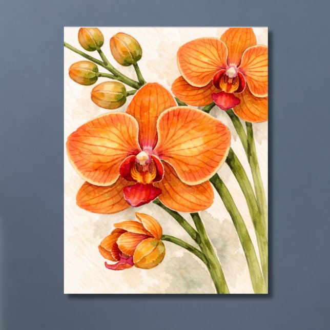 Poster Orquídea Phalaenopsis Laranja Botânica (Criador carregado)