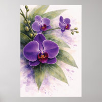 Orquídea Roxa Botânica