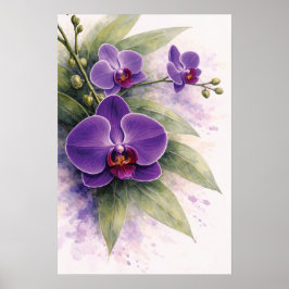 Poster Orquídea Roxa Botânica