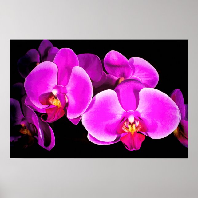 Póster Orquídea viva (Frente)