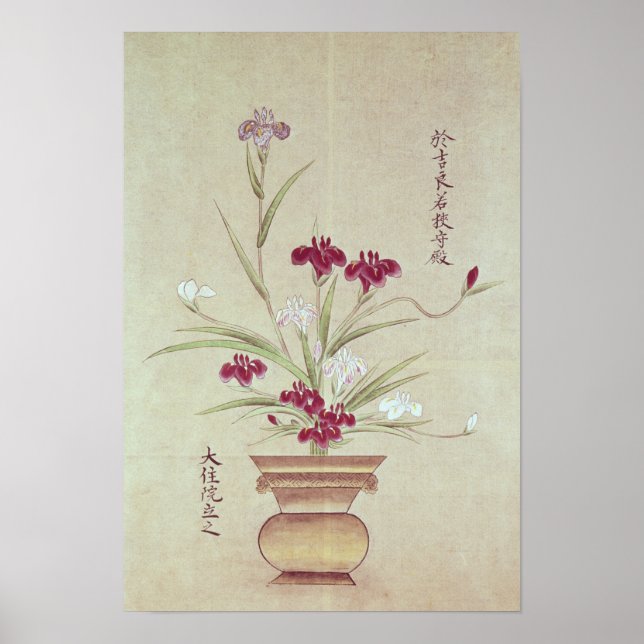 Poster Orquídeas (Frente)