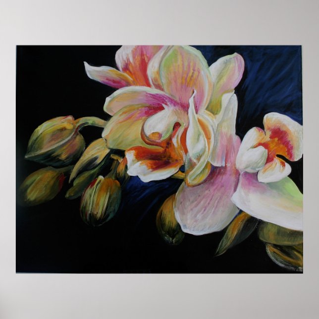 Póster Orquídeas (Frente)