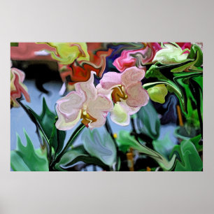 Póster Orquídeas