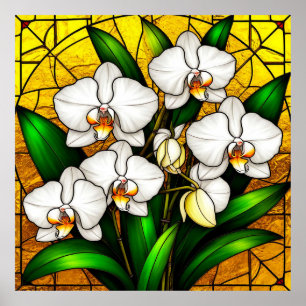 Poster Orquídeas Brancas de Vidro Estampadas Elegante