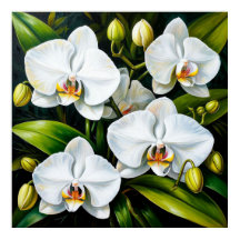 Orquídeas Brancas Lindas Decoração de Luxo & Prese