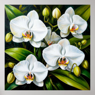 Poster Orquídeas Brancas Lindas Decoração de Luxo & Prese