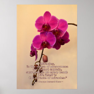 Póster Orquídeas com citações do milagre