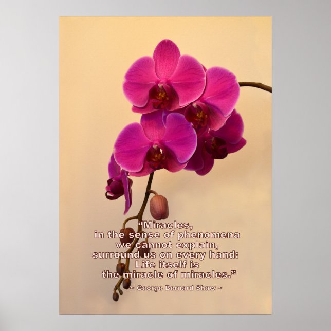 Póster Orquídeas com cotação milagrosa (Frente)