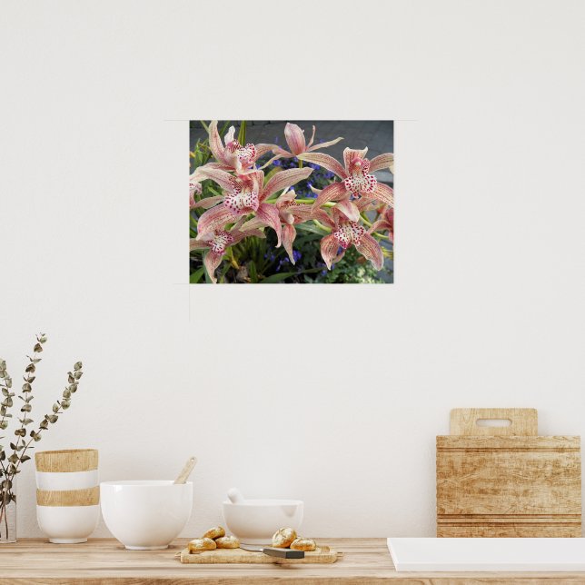 Poster Orquídeas Cymbidium Malhadas Vermelhas Florais (Cozinha)
