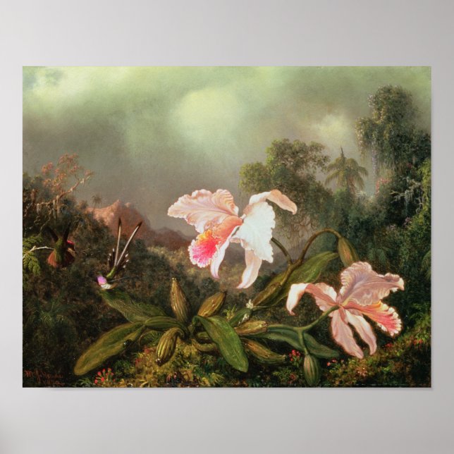 Póster Orquídeas-da-selva e beija-flores, 1872 (Frente)