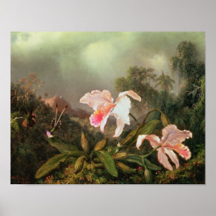 Póster Orquídeas da selva e colibris, 1872