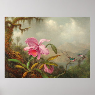 Poster Orquídeas e beija-flor de Martin Johnson Heade P