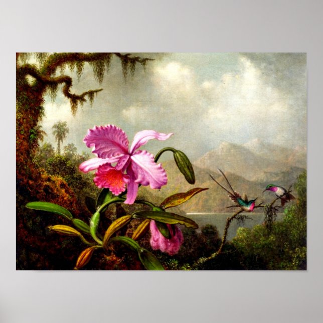 Póster Orquídeas e Hummingbird perto de um lago de montan (Frente)
