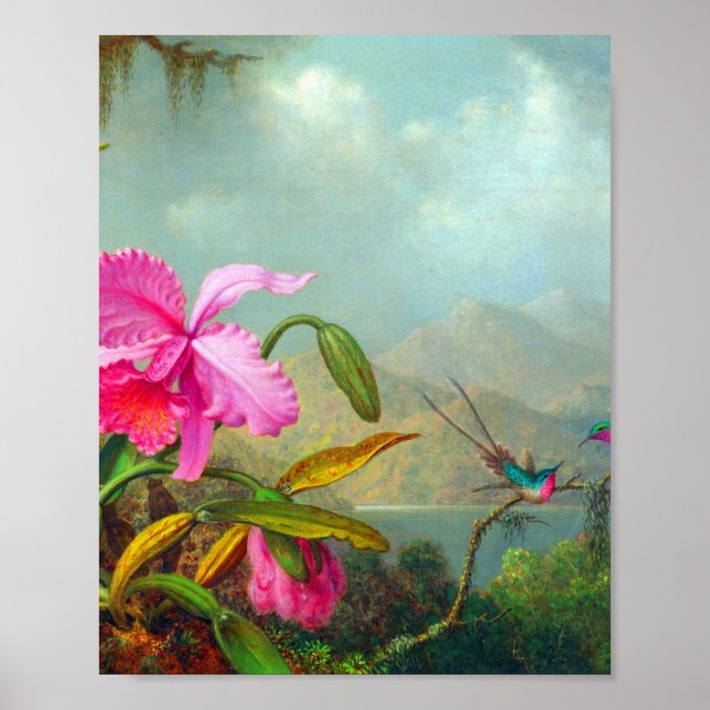 Poster Orquídeas e Hummingbird por Martin Johnson Heade (Frente)