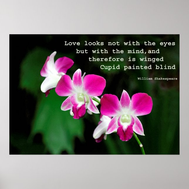 Póster Orquídeas em Aquarela (Frente)