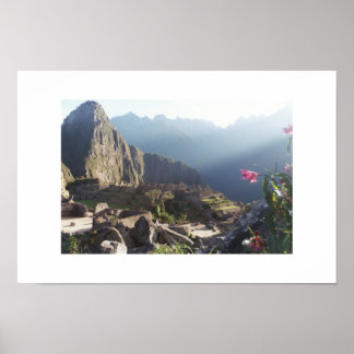 Póster Orquídeas em Machu Picchu