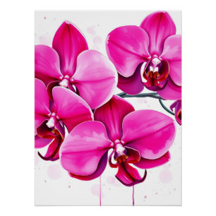 Póster Orquídeas em magenta e roxa