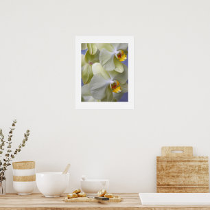 Poster Orquídeas Florais Amarelo Pálido