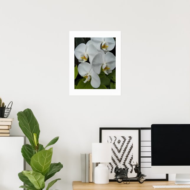 Poster Orquídeas Phalaenopsis Brancas Florais (Escritório em casa)